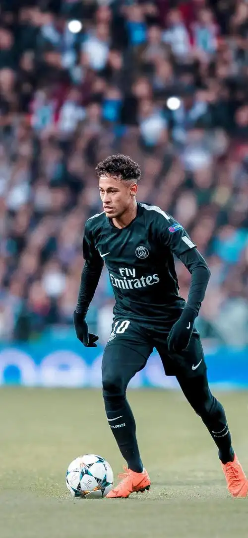 这一系统由 这一系统由