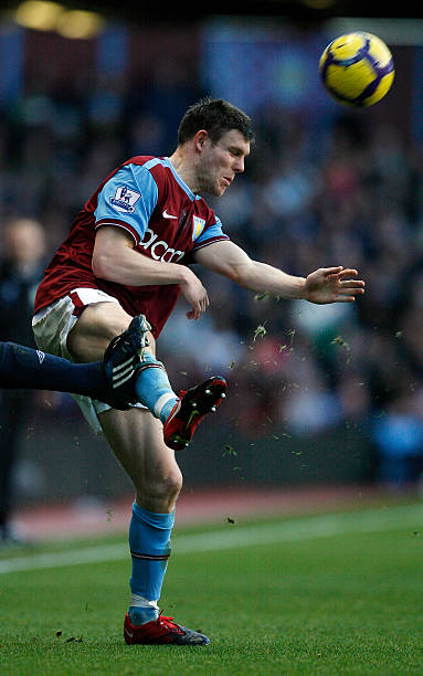 它是一条 它是一条