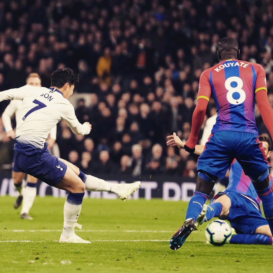 續贏得榮譽 續贏得榮譽