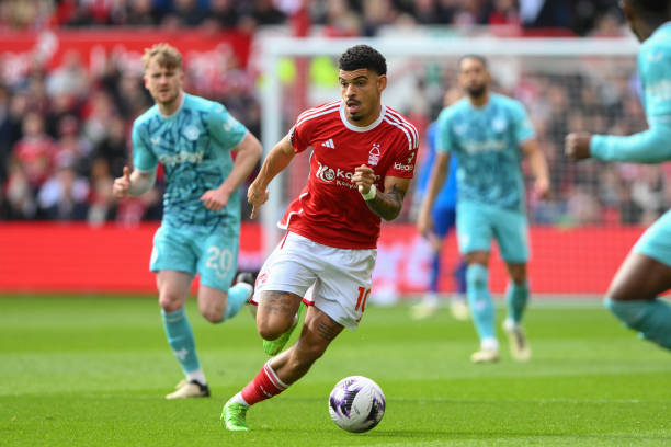 英格兰球星 英格兰球星